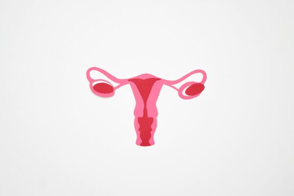 Vaginismus: Causes and Treatments with Tantra, Yoni Egg and Yoni Mapping