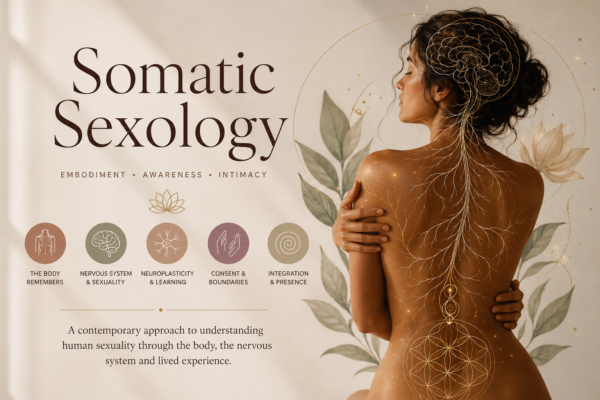 somatic sexology, neuroscience, nervous system, embodiment,